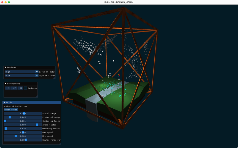 Image de la simulation